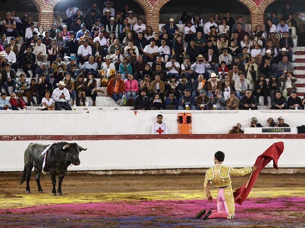 Vibrante inicio de faena