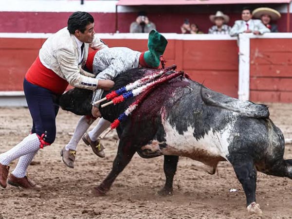 Ovacionados en la pega