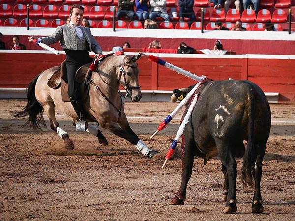 Dominio de las suertes