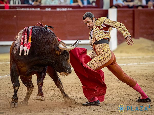 Sometiendo al colorado