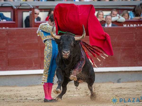 Vertical en el remate