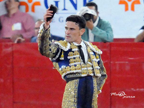 Solitaria oreja de El Galo