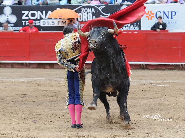 Valientes manoletinas