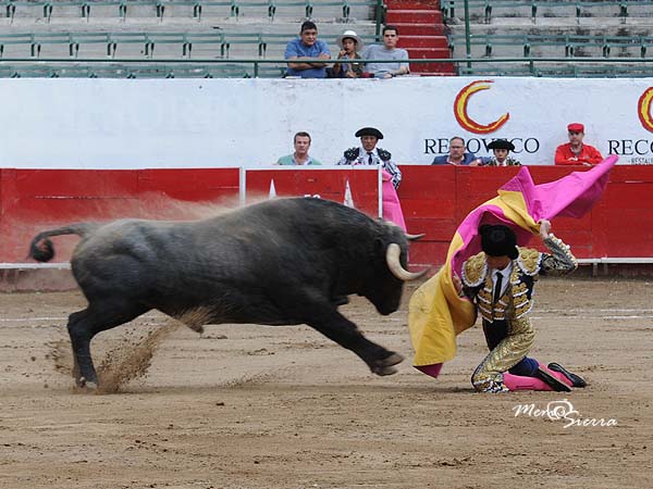 Actitud y voluntad de triunfo
