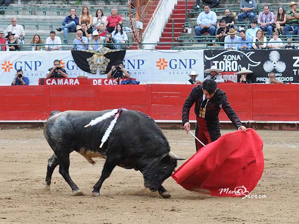 Profesional y torero