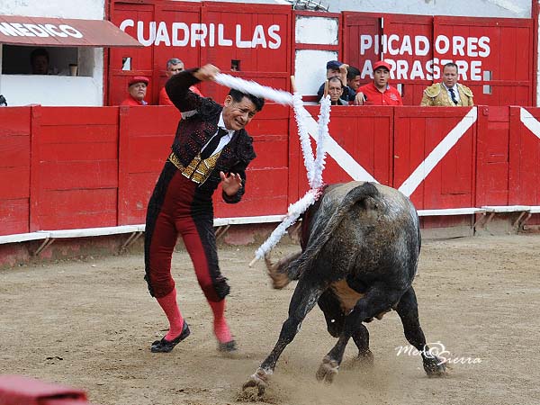 Maestro banderillero