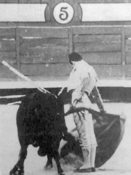 En el ruedo de Madrid