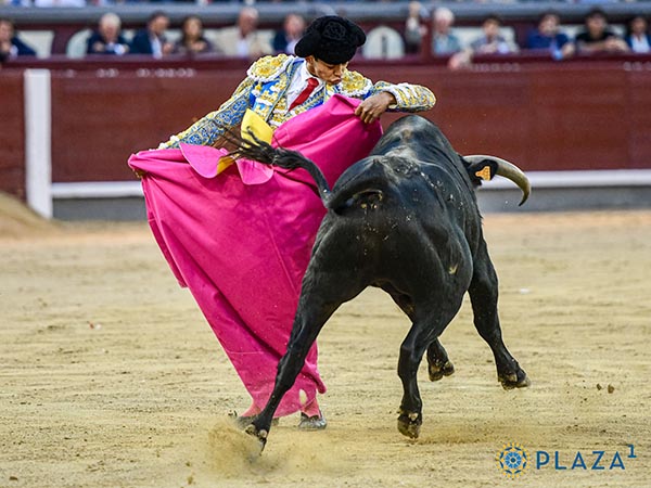 Las chicuelinas de Garibay
