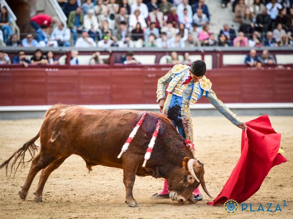Largo camino hasta Las Ventas