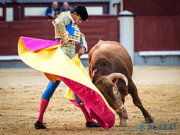 Dej su impronta en la pennsula