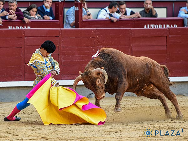 Variedad en el percal