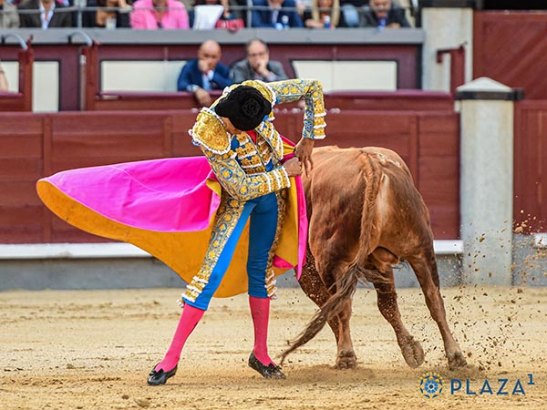 Garibay, ante el pblico venteo