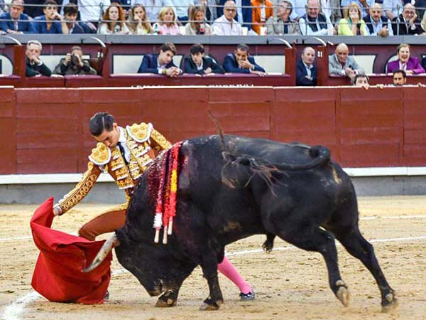 Bruno Aloi, en Las Ventas de Madrid