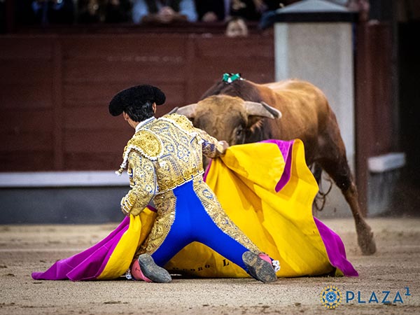 Valiente saludo en los medios