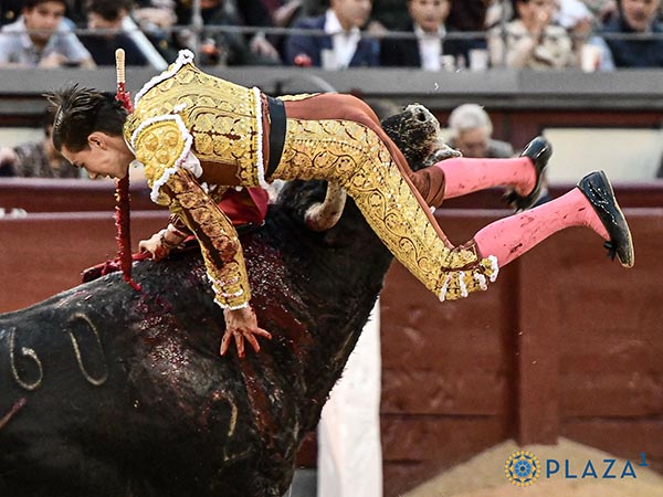 Se lo ech a los lomos