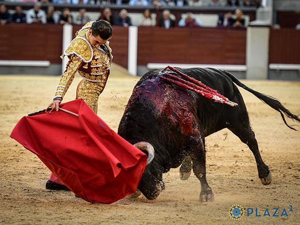 Tirando del ejemplar