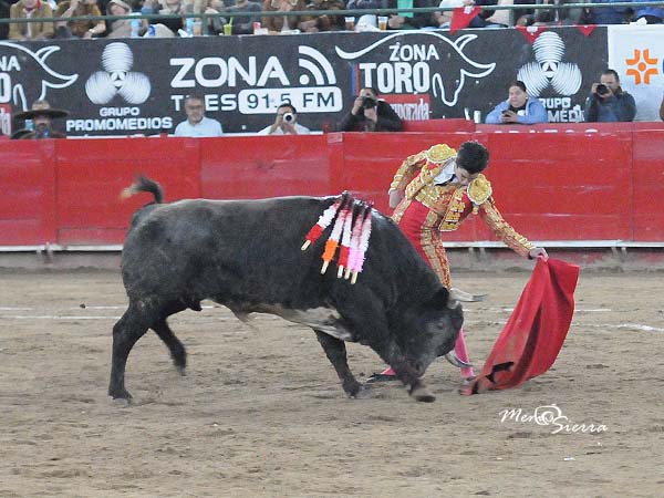 Buena disposicin para hacerle faena
