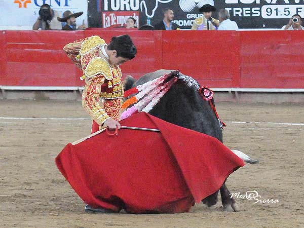 Noble y obediente a la franela