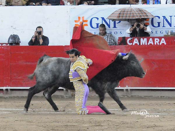 Abroch con manoletinas de hinojos