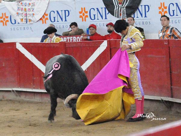 Bien plantado en las ver�nidas