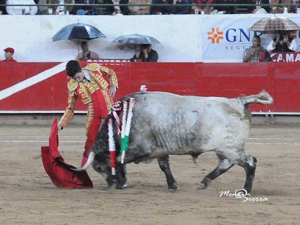 En el gusto de la afici�n