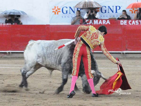 Conocedor de las alturas