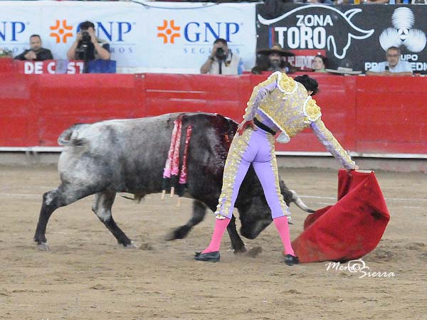 Logr someterlo en los medios