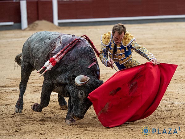 Determinacin y actitud