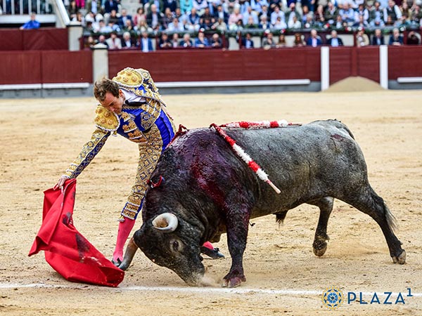 Trazo largo en los pases