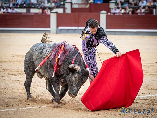 Naturales en el tercio