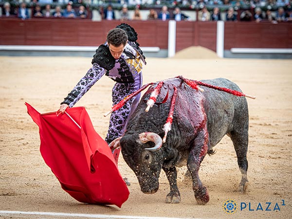 Buenas series por el derecho