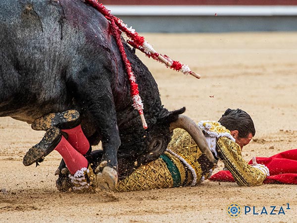 A merced del ejemplar