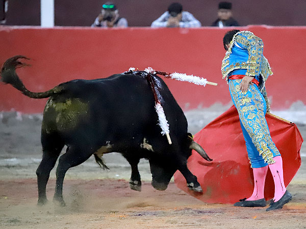 Calidad en la embestida