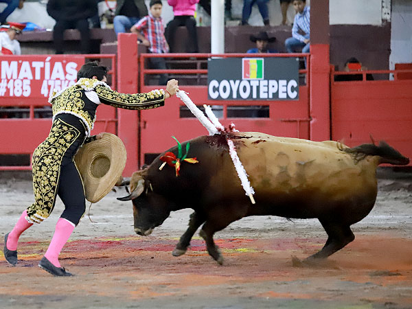 Espectacular con la jaras