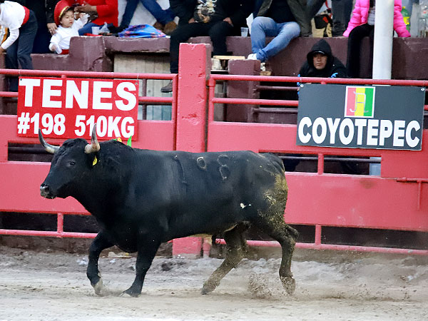 Bien presentada la Corrida
