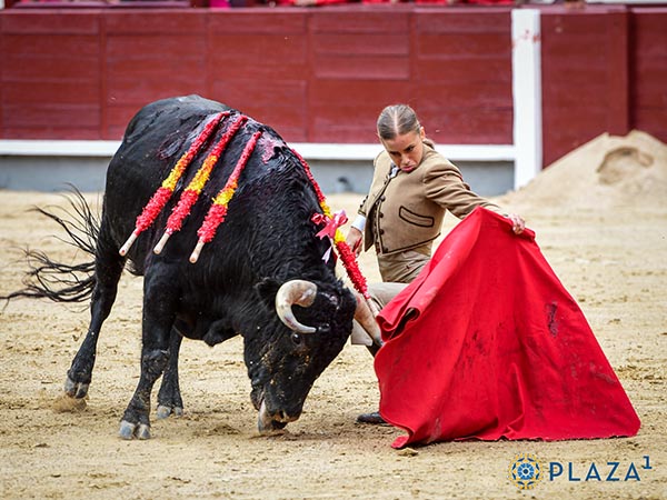 Asentando tanda a tanda