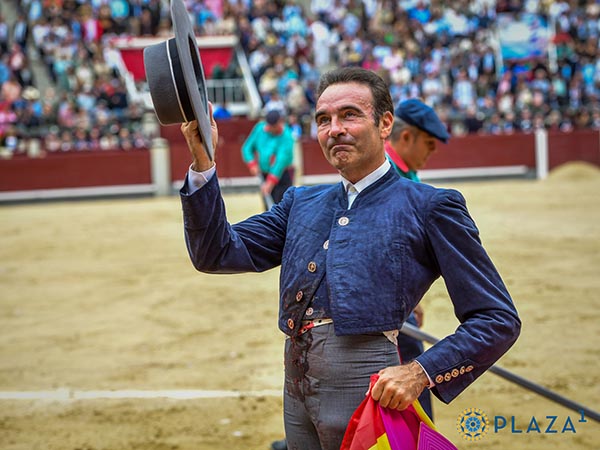 Recogiendo las palmas