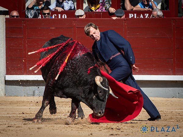 Ctedra de buen toreo