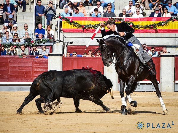 Banderilla al estribo