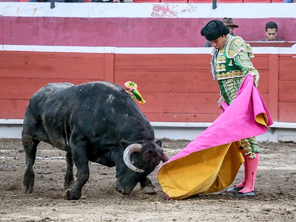 Verticalidad en los lances