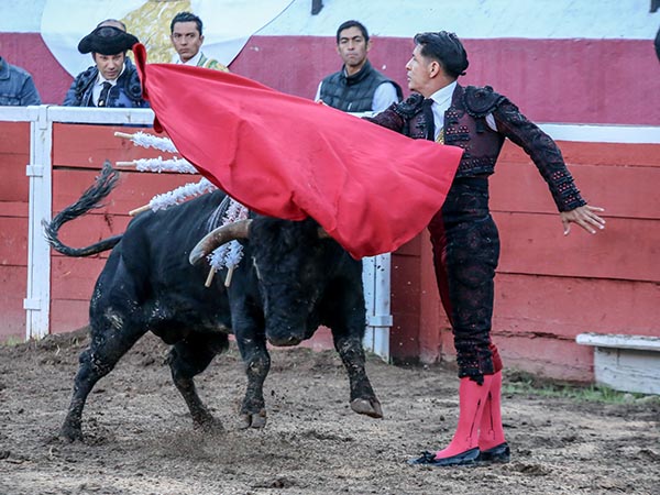 La vista en el tendido