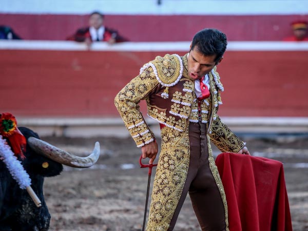 En la cara del ejemplar