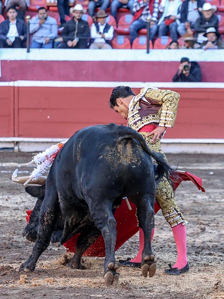 Buen toreo de Francisco