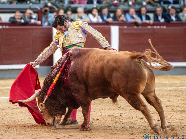 Conciso, sin accesorios