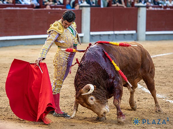 Cargado de la ms emotiva intensidad