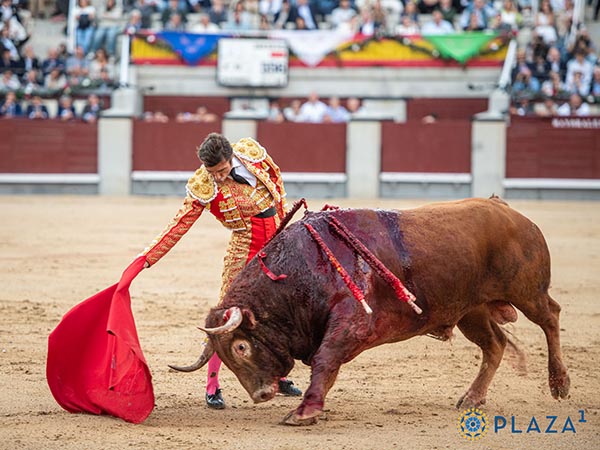 El derecho del ojalado