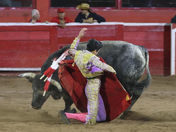 El tendido a la bolsa
