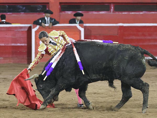 La codicia del nevado