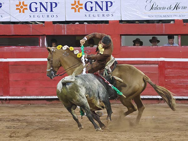 La ejecucin del violn