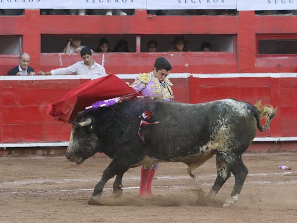 Manoletinas en el eplogo